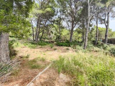 Vente Terrain Es-mercadal SON-PARC PM en Espagne