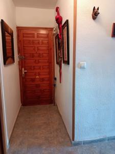 Acheter Appartement Bellreguard-poble rgion VALENCIA