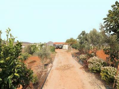 Vente Maison Alguacilejos  GC en Espagne