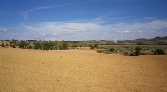 Vente Terrain Almansa  AB