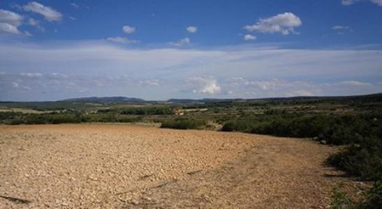 Annonce Vente Terrain Almansa