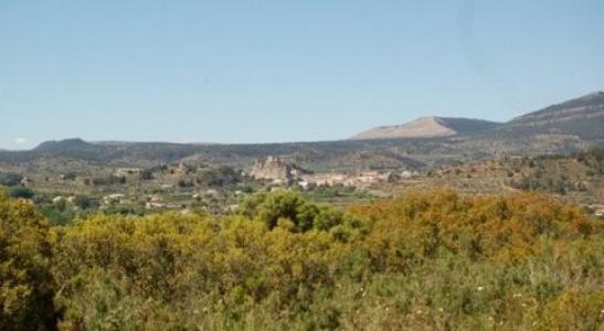 Annonce Vente Terrain Teresa-de-cofrentes