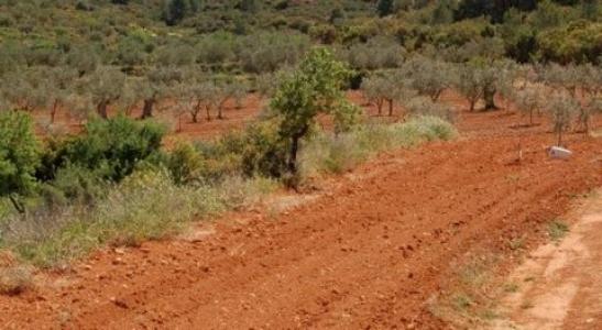 Acheter Terrain Teresa-de-cofrentes rgion VALENCIA