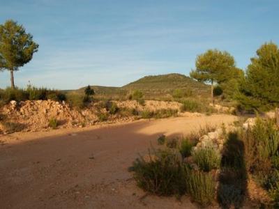 Acheter Terrain Teresa-de-cofrentes rgion VALENCIA