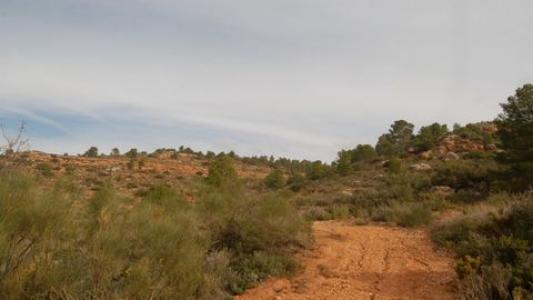 Acheter Terrain Teresa-de-cofrentes rgion VALENCIA