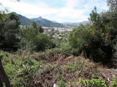 Annonce Vente Terrain Orba