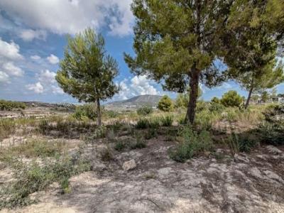 Acheter Terrain 10010 m2 Moraira