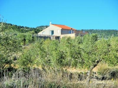 Annonce Vente Maison Castalla