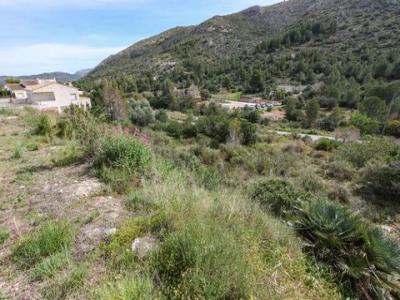 Annonce Vente Terrain Pedreguer