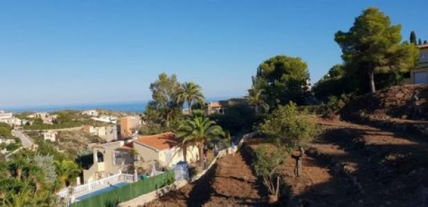 Annonce Vente Terrain Cumbre-del-sol