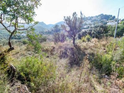 Acheter Terrain 10225 m2 Orba