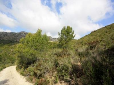 Acheter Terrain Pedreguer rgion ALICANTE