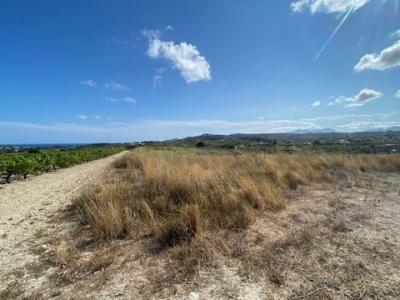 Acheter Terrain 10000 m2 Moraira