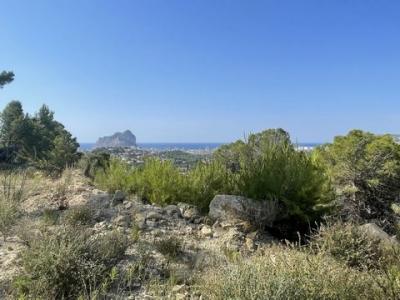 Annonce Vente Terrain Calpe