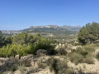 Acheter Terrain 2000 m2 Calpe