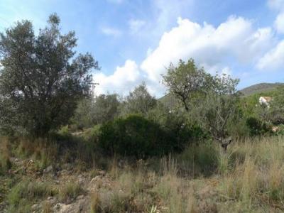 Acheter Terrain 1705 m2 Benissa