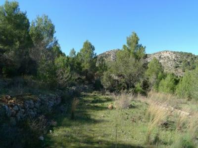 Acheter Terrain 14502 m2 Benissa