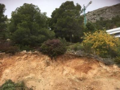 Acheter Terrain 1256 m2 Altea