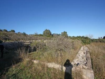 Vente Terrain Benimeli  A en Espagne