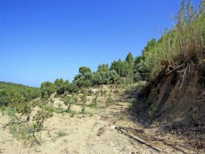 Vente Terrain Beniarbeig  A en Espagne