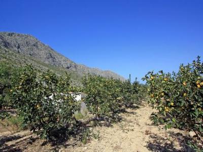 Acheter Terrain Beniarbeig rgion ALICANTE