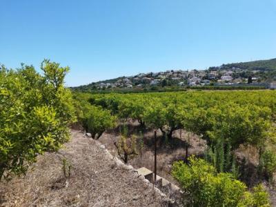 Annonce Vente Terrain Orba