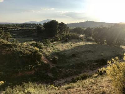 Vente Terrain Ayora  V en Espagne