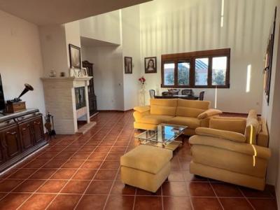 Acheter Maison 549 m2 Almansa