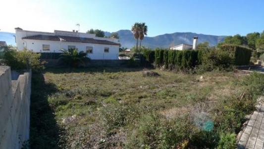 Annonce Vente Terrain Alcalali