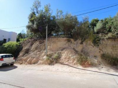 Annonce Vente Terrain Orba