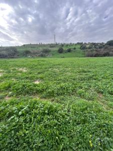 Vente Terrain Alhaurin-de-la-torre  MA