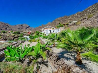 Acheter Maison Santiago-del-teide rgion SANTA-CRUZ-DE-TENERIFE