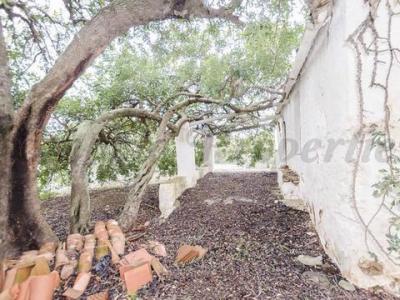 Acheter Maison Competa rgion MALAGA