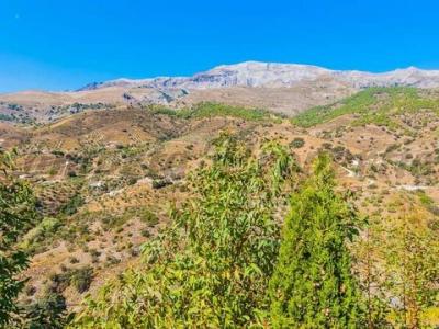 Acheter Maison Sedella rgion MALAGA