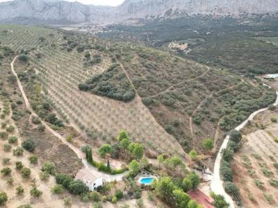 Acheter Terrain Antequera rgion MALAGA