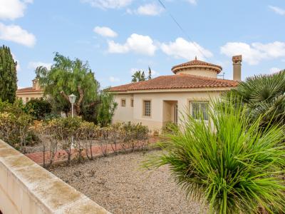 Annonce Vente Maison Algorfa