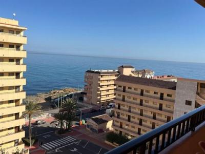 Acheter Appartement Torrevieja rgion ALICANTE