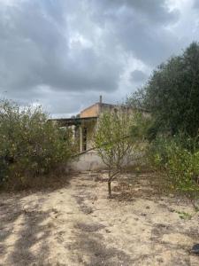 Acheter Terrain Jacarilla rgion ALICANTE