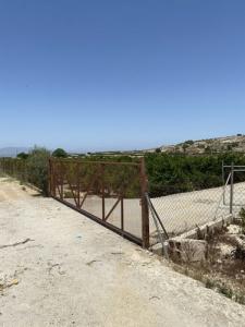 Vente Terrain Jacarilla  A en Espagne