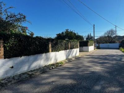 Acheter Maison 304 m2 Chiclana-de-la-frontera