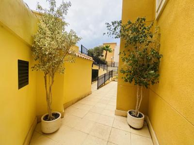 Acheter Appartement 77 m2 Cabo-roig