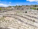 Acheter Terrain 10090 m2 Moraira