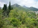 Annonce Vente Terrain Orba