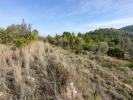 Annonce Vente Terrain Orba