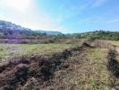 Annonce Vente Terrain Orba