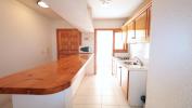 Acheter Appartement Torrevieja rgion ALICANTE