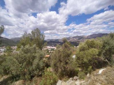 Annonce Vente Terrain Orba