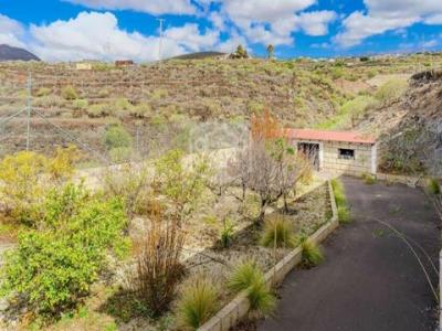 Vente Maison San-miguel-de-abona  TF en Espagne