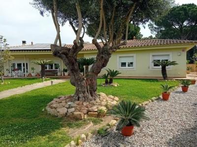 Acheter Maison 284 m2 Santa-cristina-d'aro