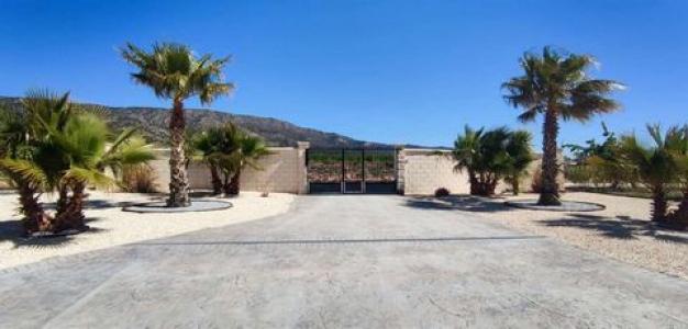 Acheter Maison Pinoso rgion ALICANTE